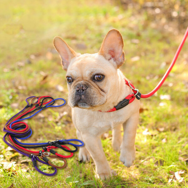 Gucci Dog leash pet leash