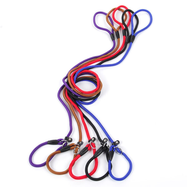 Gucci Dog leash pet leash - Image 2