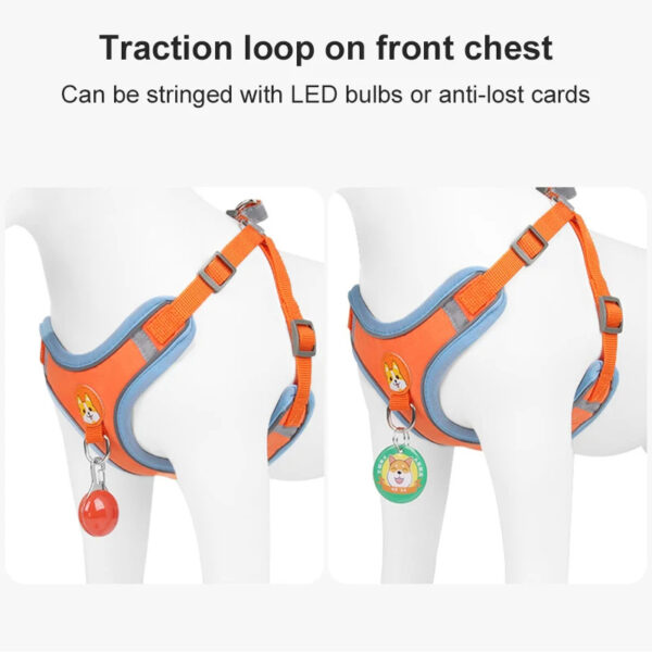 New Dog Leash And Harness Set Pet Dog Harness And Leash Set Adjustable Puppy Cat Harness Vest Reflective Walking No Pull Lead Leash For Small Dogs Chihuahua - Image 9