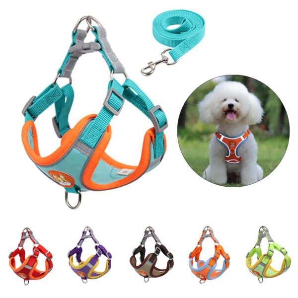 New Dog Leash And Harness Set Pet Dog Harness And Leash Set Adjustable Puppy Cat Harness Vest Reflective Walking No Pull Lead Leash For Small Dogs Chihuahua - Image 10