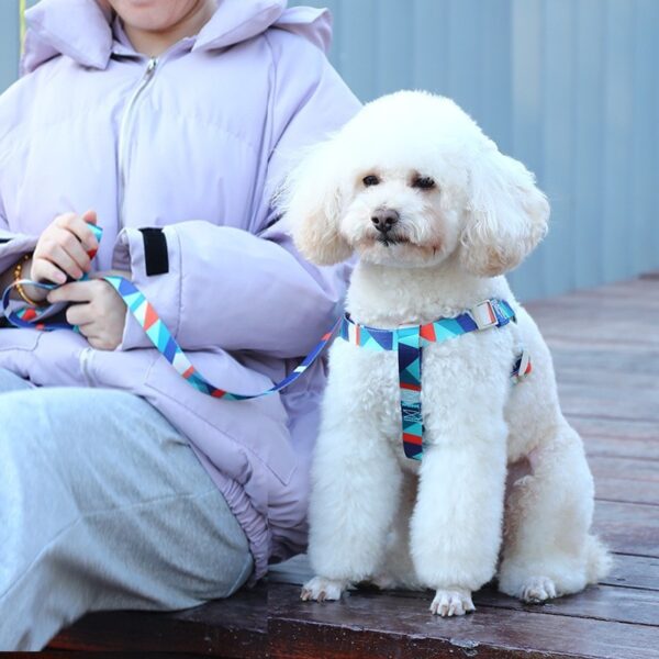 Pet Supplies Dog Vest Printing Haulage Rope Package